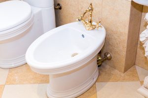 Household water based appliances and fixtures bidet