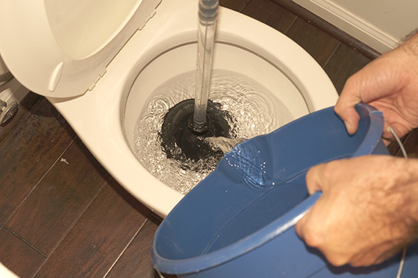 pouring water to cover a plunger inside a clogged toilet bowl