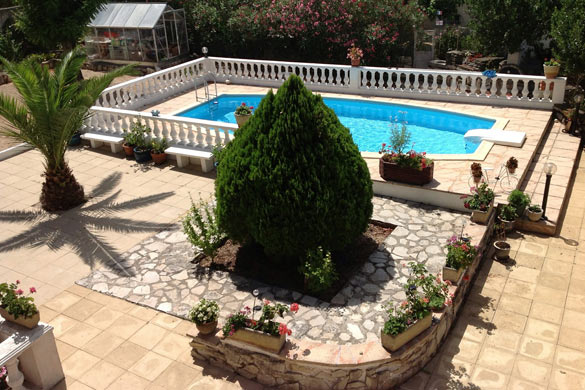 Hardscape and landscape backyard design with pool