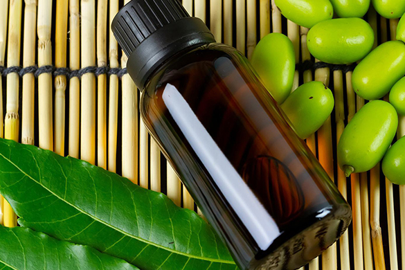 Getting rid of ants in your garden can be accelerated by using neem oil