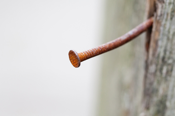 Rusted nail protruding from wooden fence