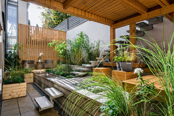 Backyard garden and patio design