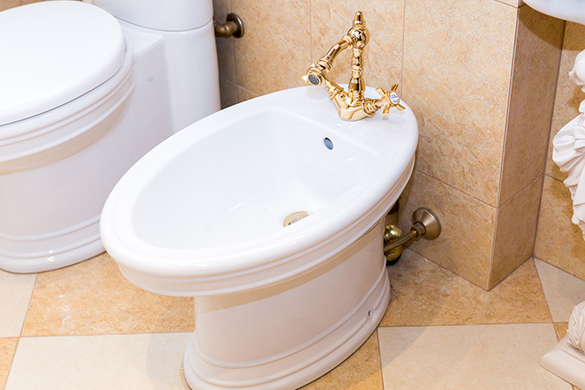 Household water based appliances and fixtures bidet