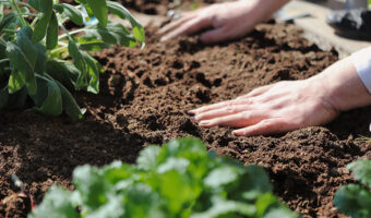 Improving garden soil includes testing for mineral and nutrient content