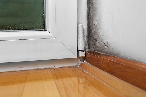 Mold hidden in corner of home