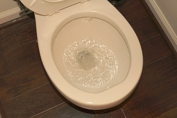 cleared toilet drain after using a plunger