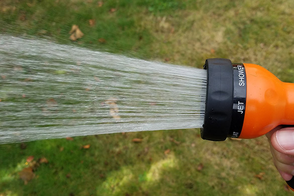 Early spring lawn watering habits