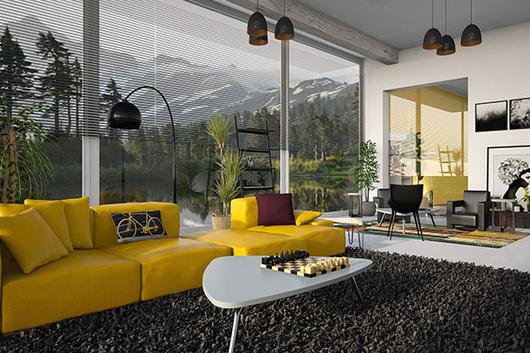 Living room architecture and high contrast design with floor to ceiling windows