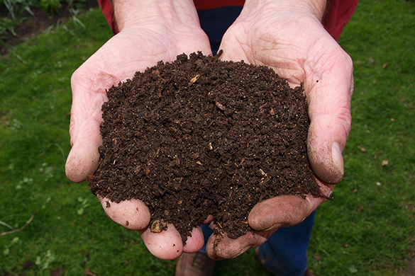 Improving garden soil includes adding organic compost