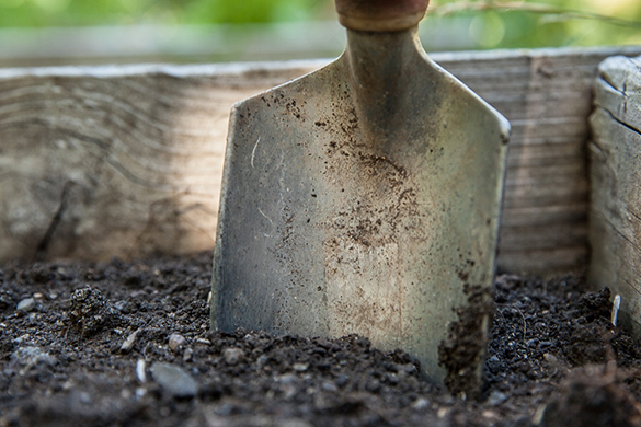 Improving garden soil includes adjusting the pH and supporting biodiversity