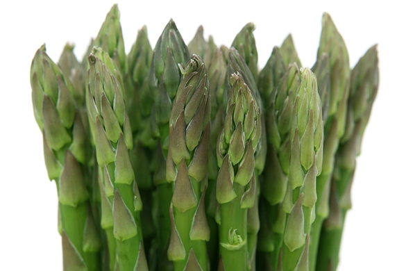 Summer garden diy tips and ideas for growing asparagus