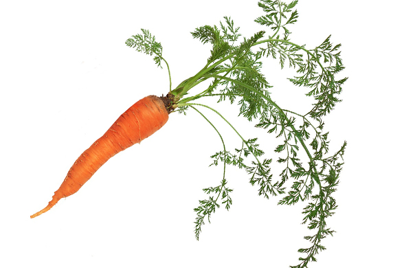 Summer garden diy tips and ideas growing carrots