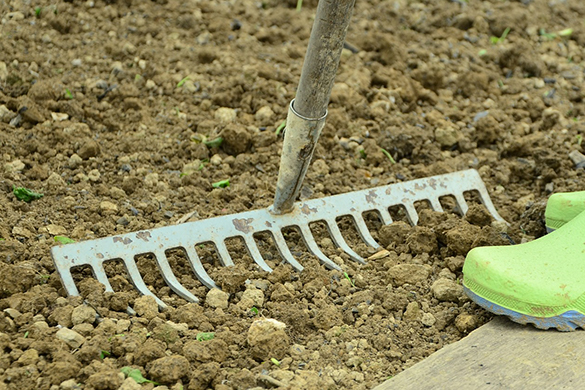 Summer garden diy tips and ideas to improve soil