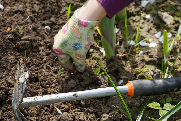 Summer gardening diy tips and ideas for working in the garden