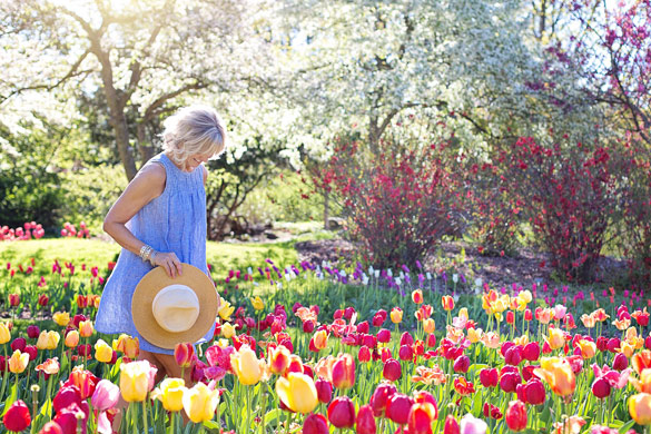 Winter garden preparation for spring planting and flowers